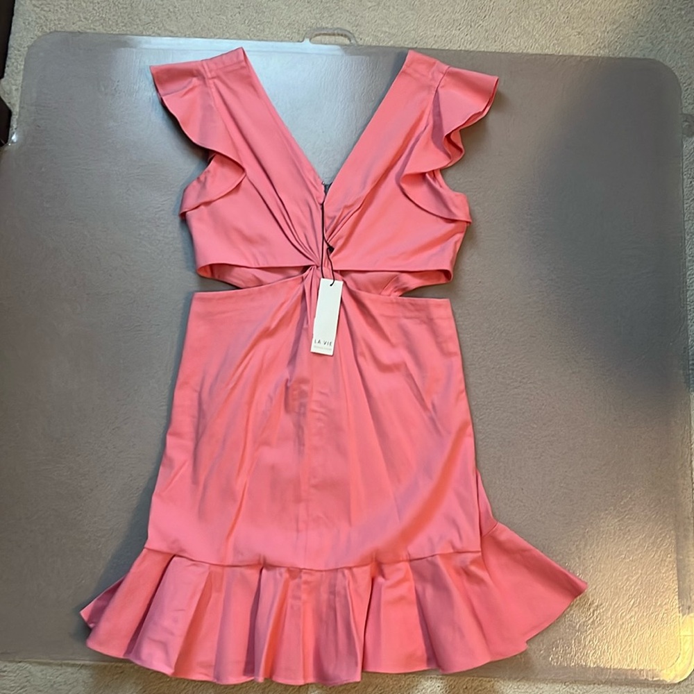 NWT Rebecca Taylor La Vie Cut Out Dress